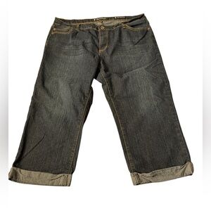 Salt Works New York City Jeans Women’s 14 Blue Mid-Rise Cuffed Crop Cotton Blend